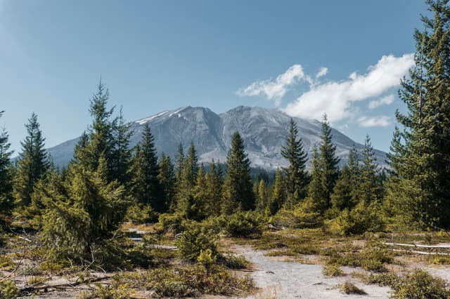 Mount St. Helens