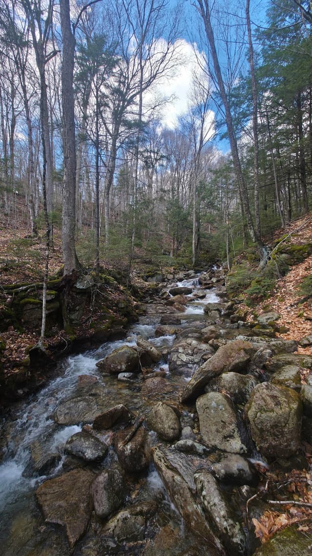 Pemigewasset
