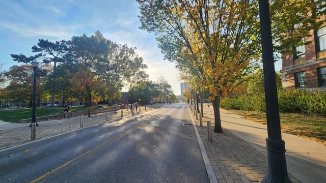 Autumn Serenity in the City