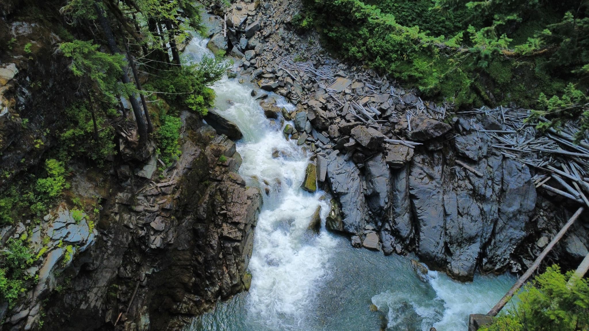 A top-down perspective shows a narrow, light-colored stream winding through a dark, rocky gorge flanked by green coniferous trees.