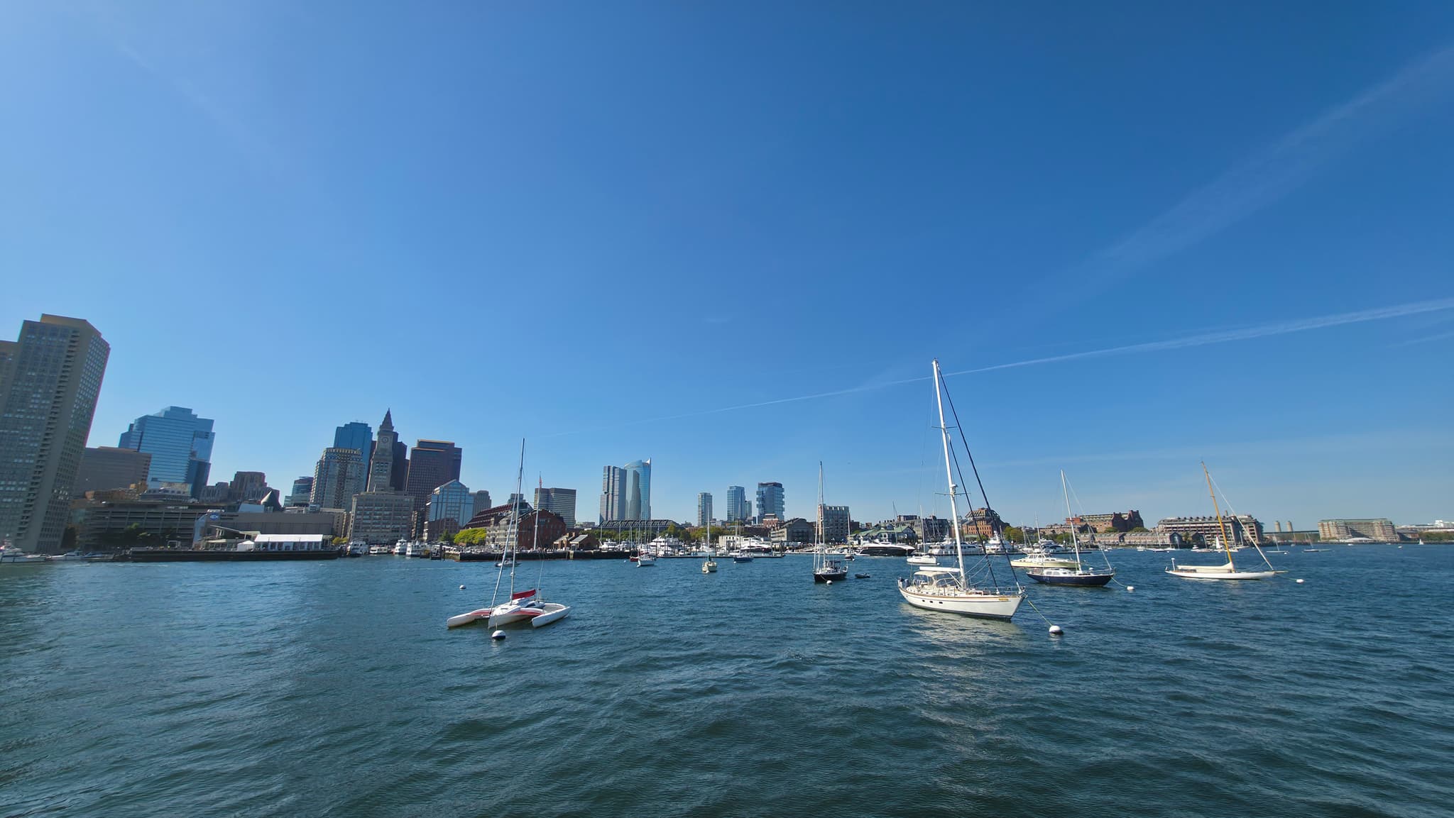 Sailboats in the Harbor
