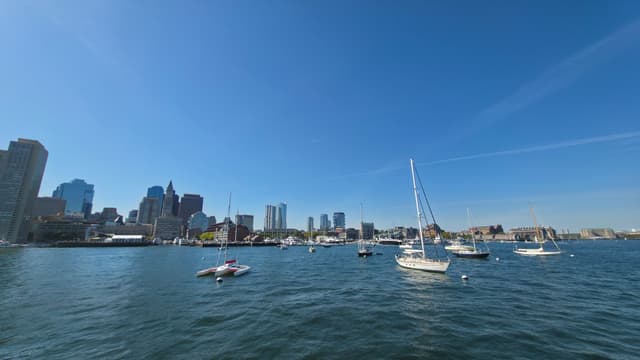 Sailboats in the Harbor