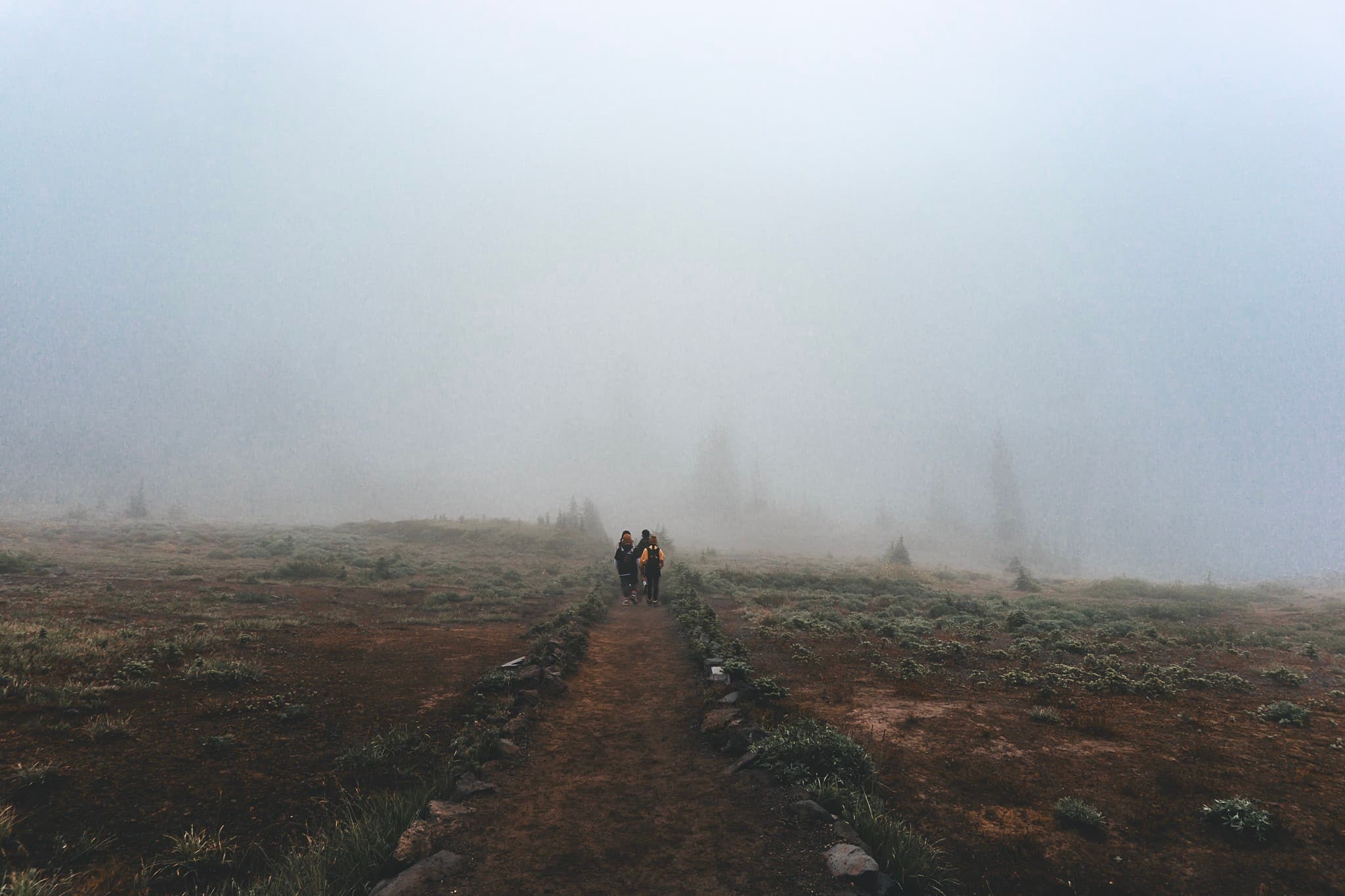 Two figures walking away on a narrow dirt path bordered by low stone walls, fading into a thick white fog