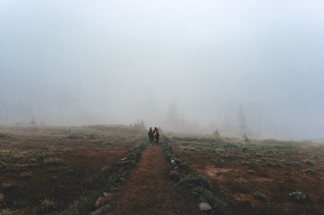 Two figures walking away on a narrow dirt path bordered by low stone walls, fading into a thick white fog