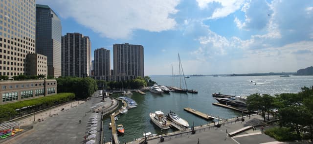 Harbor Serenity