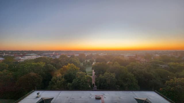 A flat rooftop in the foreground overlooks a dense canopy of trees leading to a distant urban skyline beneath a wide, orange twilight horizon